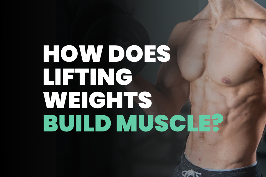 How Does Lifting Weights Build Muscle