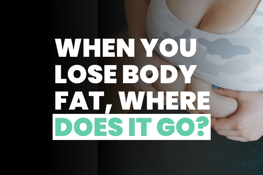When you Lose Body Fat Where Does it Go